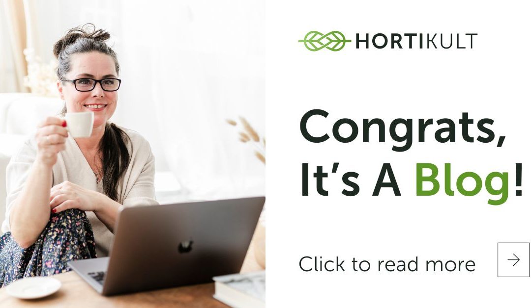 Congratulations, It’s A Blog!